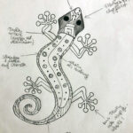 Gecko Skizze