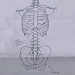 Der aufblühende Verstand Skizze