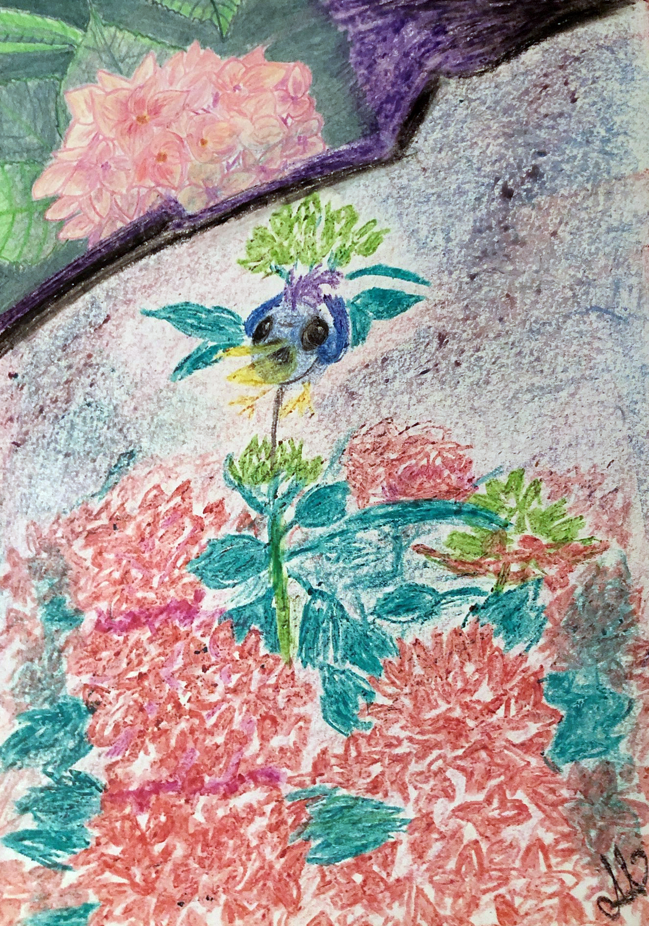 crazy mishka - kunstwerke - Rosa Hortensie