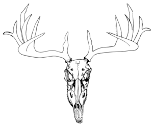 crazy mishka - impressum