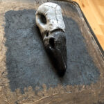 crazy mishka - kunstwerke - Portfolio-Mappe - Roby the Ravenhead