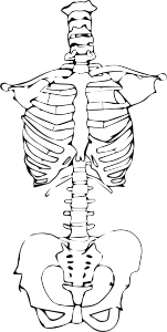 crazy mishka - der aufblühende verstand