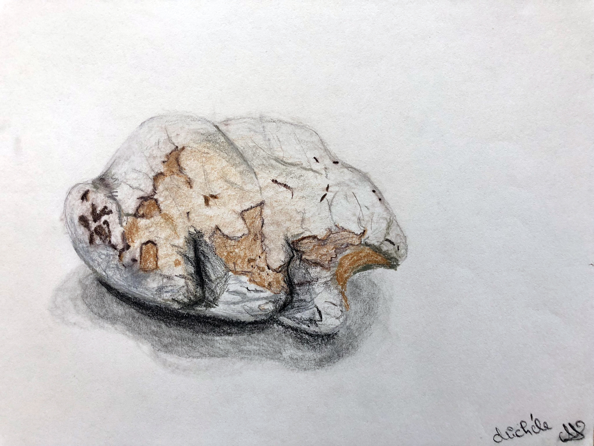 crazy mishka - kunstwerke - Stein-Studie