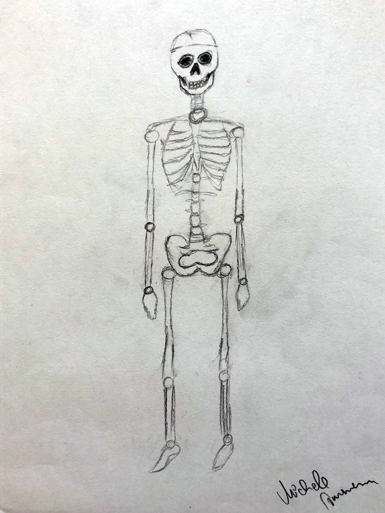 crazy mishka - kunstwerke - Skelettfunktion-Studie