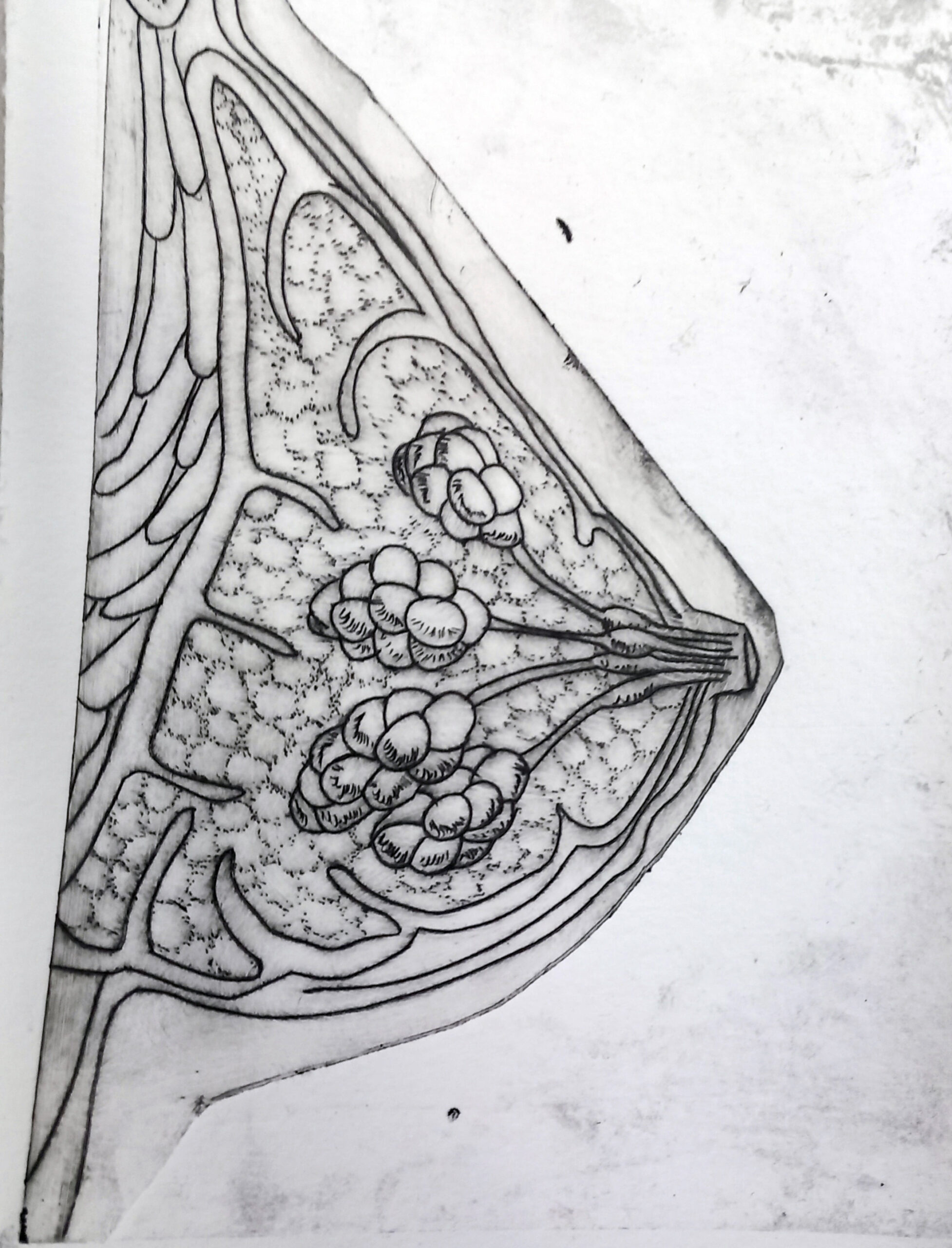 crazy mishka - kunstwerke - For use (Tiefdruck)