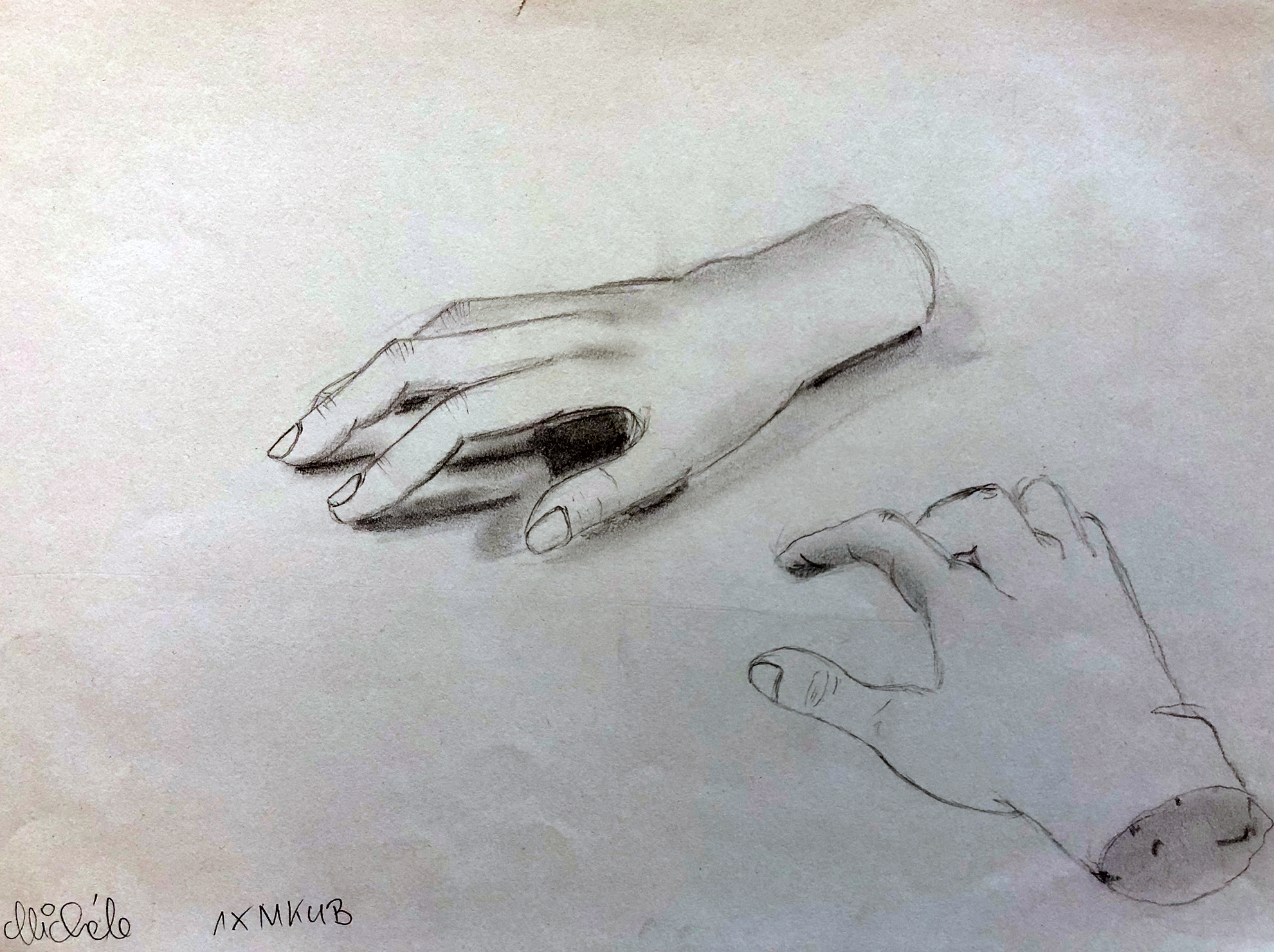 crazy mishka - kunstwerke - Hand-Studie